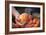 Farmers Market; Portland, Oregon-Justin Bailie-Framed Photographic Print