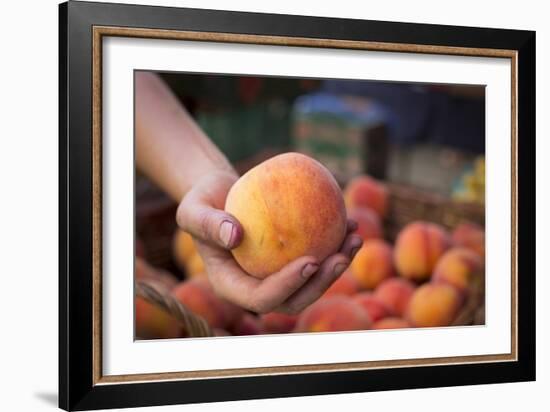 Farmers Market; Portland, Oregon-Justin Bailie-Framed Photographic Print
