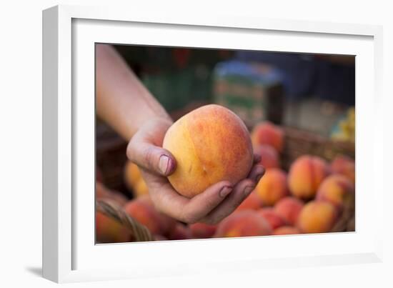 Farmers Market; Portland, Oregon-Justin Bailie-Framed Photographic Print