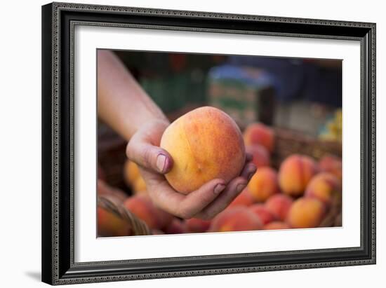 Farmers Market; Portland, Oregon-Justin Bailie-Framed Photographic Print