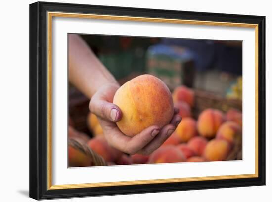 Farmers Market; Portland, Oregon-Justin Bailie-Framed Photographic Print