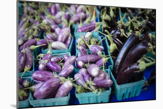 Farmers Market; Portland, Oregon-Justin Bailie-Mounted Photographic Print