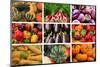 Farmers Market Produce, Connecticut-Mallorie Ostrowitz-Mounted Photographic Print