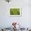 Farmers on the Rice Terrace, Longsheng, Guangxi Province, China-Keren Su-Framed Photographic Print displayed on a wall