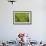 Farmers on the Rice Terrace, Longsheng, Guangxi Province, China-Keren Su-Framed Photographic Print displayed on a wall