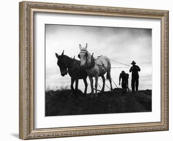 Farmers Preparing the Ground For Spring Planting-Carl Mydans-Framed Photographic Print