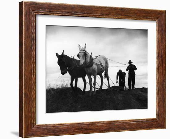 Farmers Preparing the Ground For Spring Planting-Carl Mydans-Framed Photographic Print