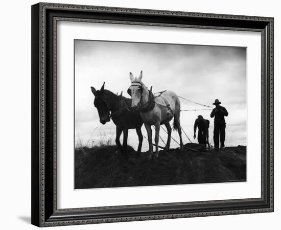 Farmers Preparing the Ground For Spring Planting-Carl Mydans-Framed Photographic Print