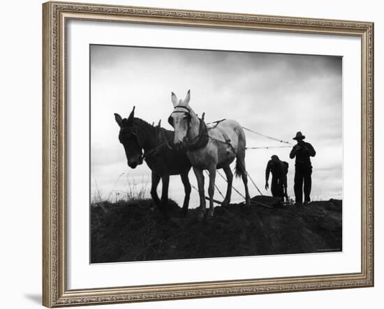 Farmers Preparing the Ground For Spring Planting-Carl Mydans-Framed Photographic Print
