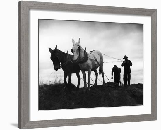 Farmers Preparing the Ground For Spring Planting-Carl Mydans-Framed Photographic Print