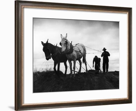 Farmers Preparing the Ground For Spring Planting-Carl Mydans-Framed Photographic Print