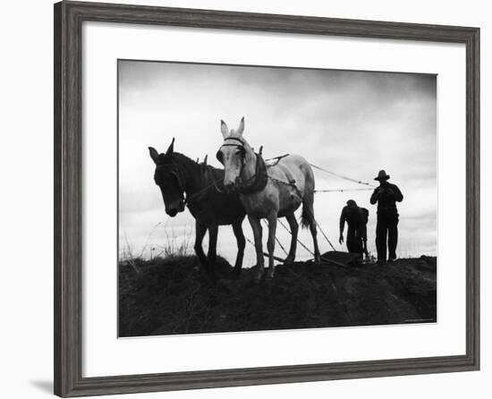 Farmers Preparing the Ground For Spring Planting-Carl Mydans-Framed Photographic Print