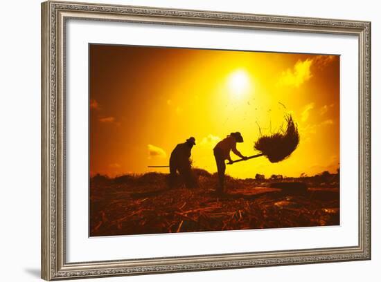 Farmers Silhouettes at Sunset. Rice Grain Threshing during Harvest Time in Northern Thailand-Banana Republic images-Framed Photographic Print