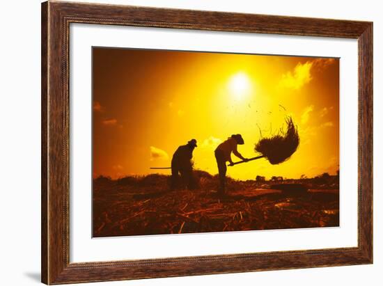 Farmers Silhouettes at Sunset. Rice Grain Threshing during Harvest Time in Northern Thailand-Banana Republic images-Framed Photographic Print