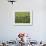 Farmers Wearing Conical Hat Picking Tea Leaves at Tea Plantation, Vietnam-Keren Su-Framed Photographic Print displayed on a wall