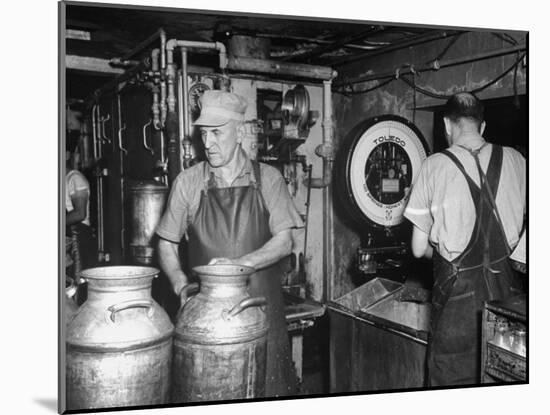 Farmers Working in Dairy Barn-null-Mounted Photographic Print