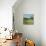 Farmhouse Across the Meadow-Sue Schlabach-Mounted Art Print displayed on a wall