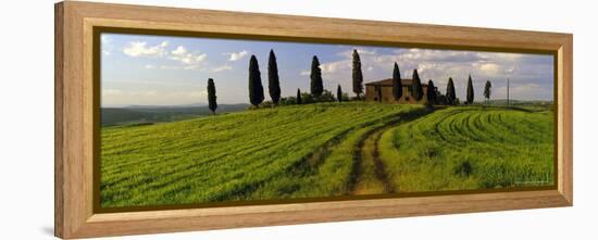 Farmhouse and Cypress Trees Near Pienza, Tuscany, Italy, Europe-Lee Frost-Framed Premier Image Canvas