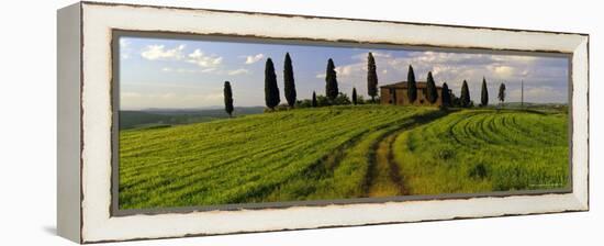 Farmhouse and Cypress Trees Near Pienza, Tuscany, Italy, Europe-Lee Frost-Framed Premier Image Canvas