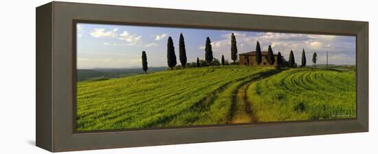 Farmhouse and Cypress Trees Near Pienza, Tuscany, Italy, Europe-Lee Frost-Framed Premier Image Canvas
