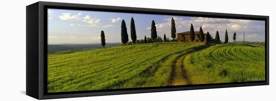 Farmhouse and Cypress Trees Near Pienza, Tuscany, Italy, Europe-Lee Frost-Framed Premier Image Canvas