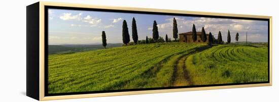 Farmhouse and Cypress Trees Near Pienza, Tuscany, Italy, Europe-Lee Frost-Framed Premier Image Canvas