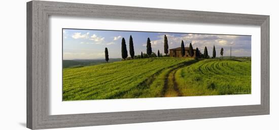 Farmhouse and Cypress Trees Near Pienza, Tuscany, Italy, Europe-Lee Frost-Framed Photographic Print