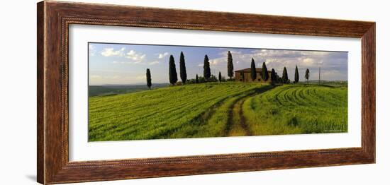 Farmhouse and Cypress Trees Near Pienza, Tuscany, Italy, Europe-Lee Frost-Framed Photographic Print