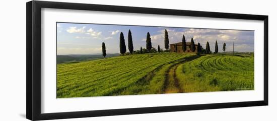 Farmhouse and Cypress Trees Near Pienza, Tuscany, Italy, Europe-Lee Frost-Framed Photographic Print