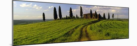 Farmhouse and Cypress Trees Near Pienza, Tuscany, Italy, Europe-Lee Frost-Mounted Photographic Print