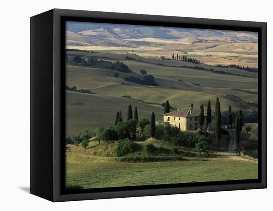 Farmhouse and Cypress Tres in the Earning Morning, San Quirico d'Orcia, Tuscany, Italy-Ruth Tomlinson-Framed Premier Image Canvas