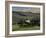 Farmhouse and Cypress Tres in the Earning Morning, San Quirico d'Orcia, Tuscany, Italy-Ruth Tomlinson-Framed Photographic Print