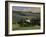 Farmhouse and Cypress Tres in the Earning Morning, San Quirico d'Orcia, Tuscany, Italy-Ruth Tomlinson-Framed Photographic Print