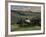 Farmhouse and Cypress Tres in the Earning Morning, San Quirico d'Orcia, Tuscany, Italy-Ruth Tomlinson-Framed Photographic Print