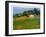 Farmhouse at Noon-Peter Fiore-Framed Art Print