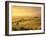 Farmhouse Belvedere at Sunrise-Markus Lange-Framed Photographic Print