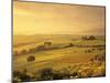 Farmhouse Belvedere at Sunrise-Markus Lange-Mounted Photographic Print