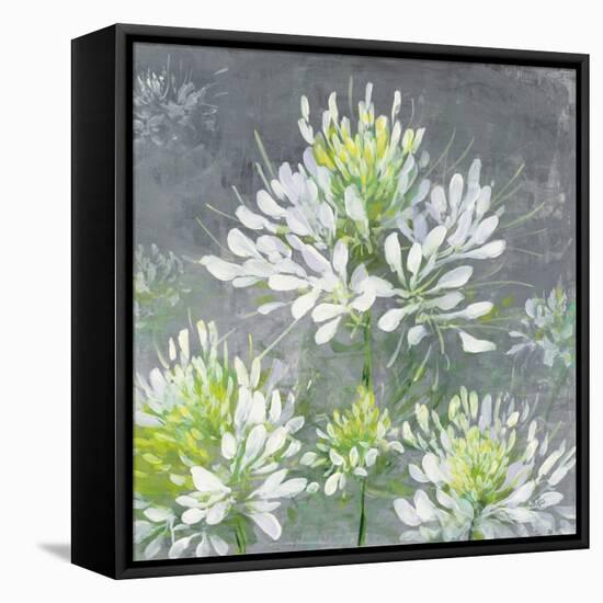 Farmhouse Cleome I-Julia Purinton-Framed Stretched Canvas