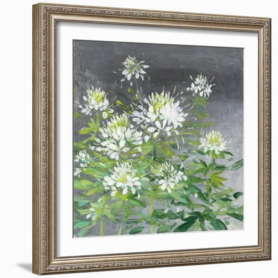 Farmhouse Cleome II-Julia Purinton-Framed Art Print