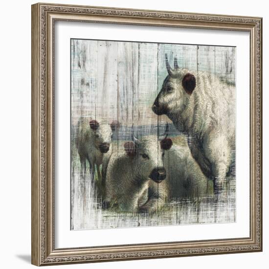 Farmhouse Cows-null-Framed Art Print