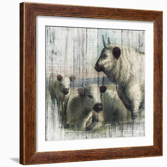 Farmhouse Cows-null-Framed Art Print