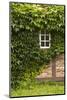Farmhouse, Facade, Ivy Covered, Detail-Nora Frei-Mounted Photographic Print