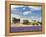 Farmhouse in a Lavender Field, Provence, France-Nadia Isakova-Framed Premier Image Canvas