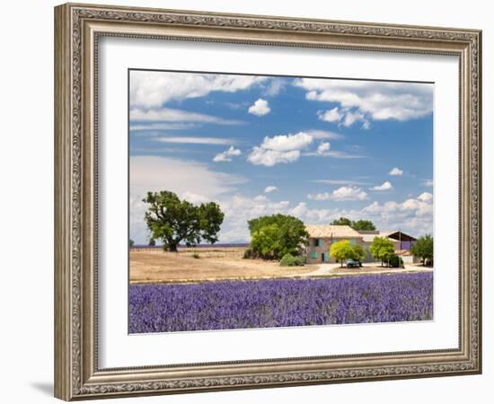 Farmhouse in a Lavender Field, Provence, France-Nadia Isakova-Framed Photographic Print