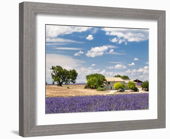 Farmhouse in a Lavender Field, Provence, France-Nadia Isakova-Framed Photographic Print