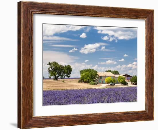 Farmhouse in a Lavender Field, Provence, France-Nadia Isakova-Framed Photographic Print