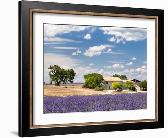 Farmhouse in a Lavender Field, Provence, France-Nadia Isakova-Framed Photographic Print