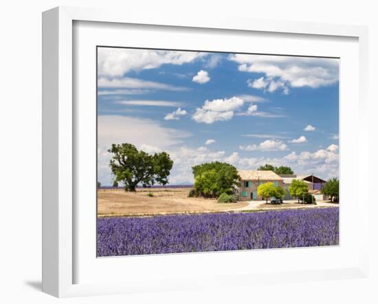 Farmhouse in a Lavender Field, Provence, France-Nadia Isakova-Framed Photographic Print