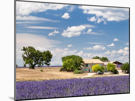 Farmhouse in a Lavender Field, Provence, France-Nadia Isakova-Mounted Photographic Print