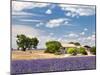 Farmhouse in a Lavender Field, Provence, France-Nadia Isakova-Mounted Photographic Print